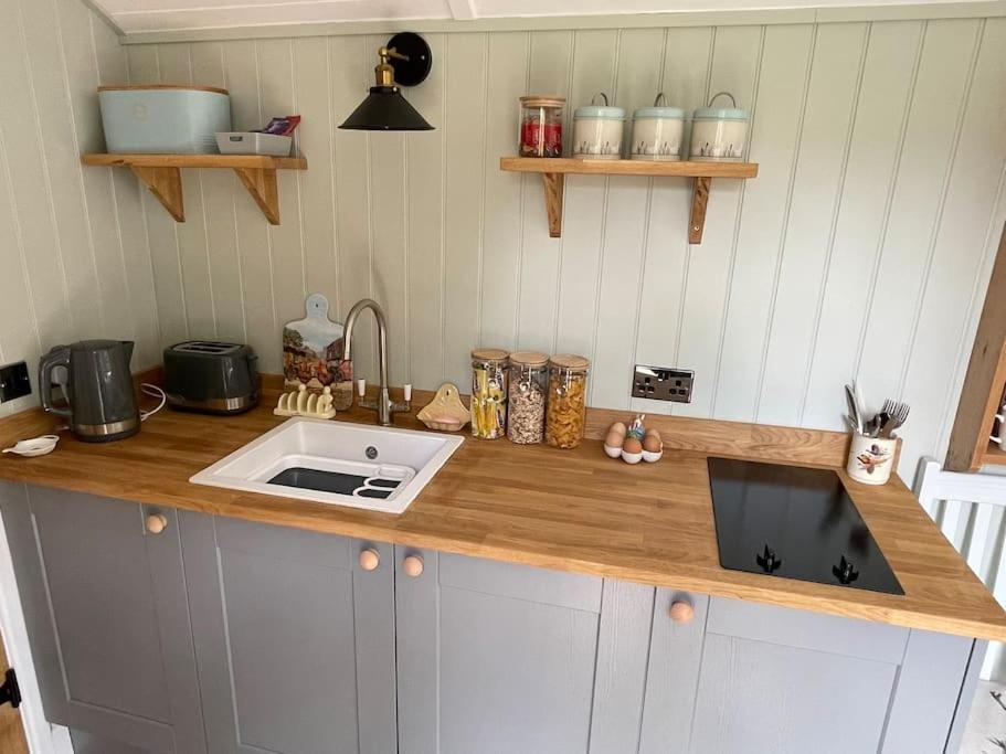 Forest View Shepherd Hut Ewhurst Exterior photo